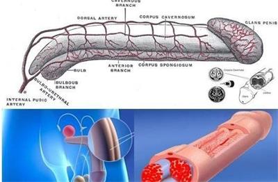 1492232556637687.jpg 01300533958360133811600560330.jpg